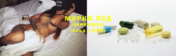 PSILOCYBIN Навашино