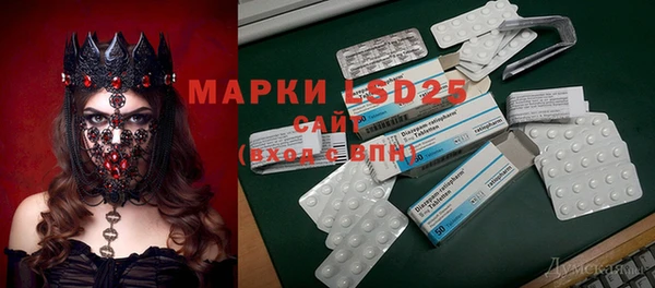 ГАЛЛЮЦИНОГЕННЫЕ ГРИБЫ Надым