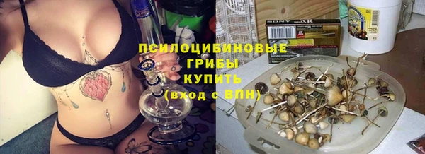 PSILOCYBIN Навашино
