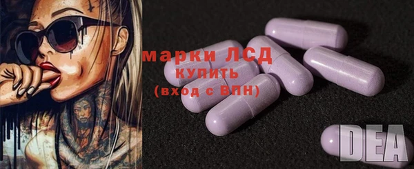 ГАЛЛЮЦИНОГЕННЫЕ ГРИБЫ Надым